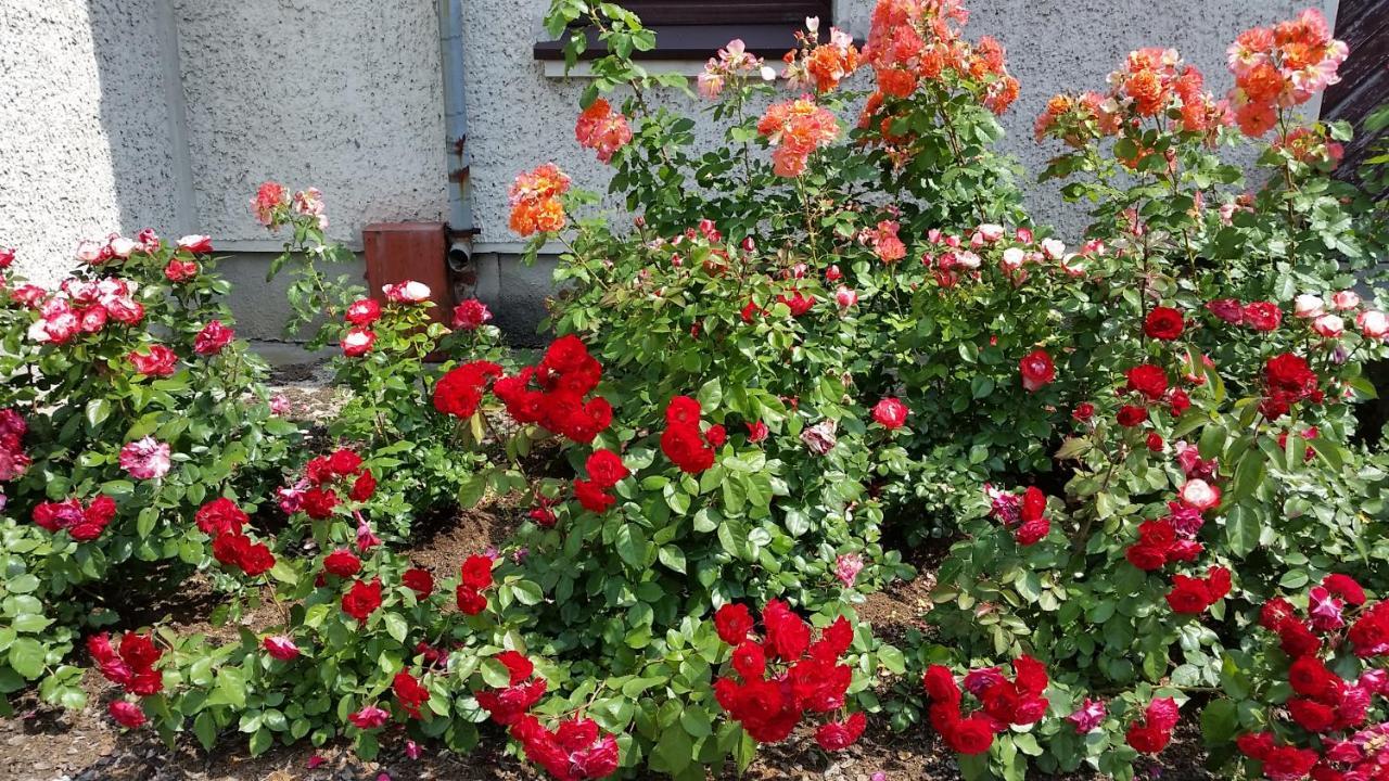 Guest House Gero Vejo Namai 클라이페다 외부 사진